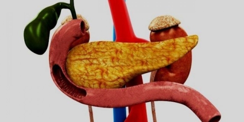 Da li je moguće jesti sjemenke bundeve s pankreatitisom